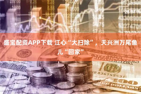 盛宝配资APP下载 江心“大扫除”，天兴洲万尾鱼儿“回家”