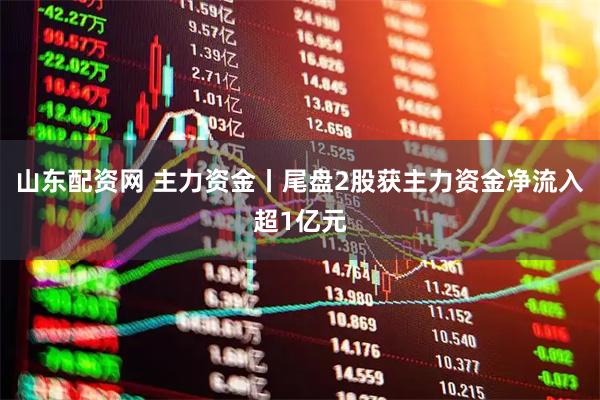 山东配资网 主力资金丨尾盘2股获主力资金净流入超1亿元