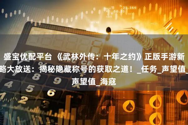 盛宝优配平台 《武林外传：十年之约》正版手游新手攻略大放送：揭秘隐藏称号的获取之道！_任务_声望值_海寇